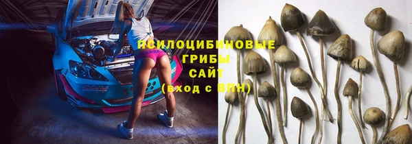 гидра Армянск