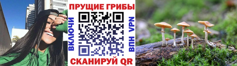Псилоцибиновые грибы MAGIC MUSHROOMS  МЕГА рабочий сайт  сайты даркнета состав  Облучье 